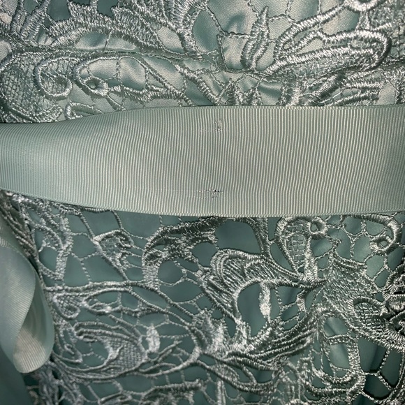 Adrianna Papell Cap-Sleeve Illusion Lace Gown - Picture 4 of 7